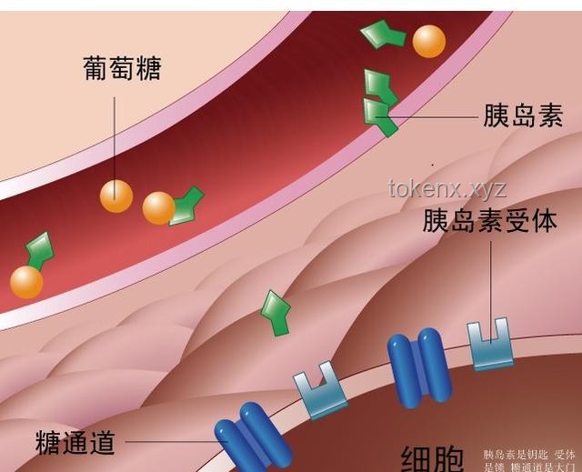 如何充分利用高敏感这一珍贵天赋，实现个人成长与和谐人际